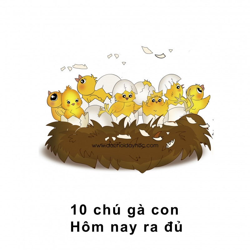 Mười chú gà con, hôm nay ra đủ