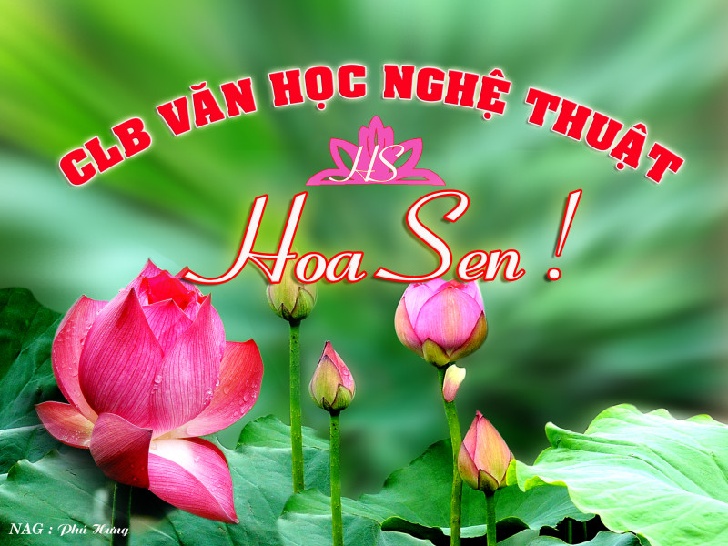 Ảnh minh họa Phú Hưng