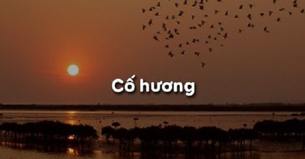 Ảnh minh họa (Nguồn internet)