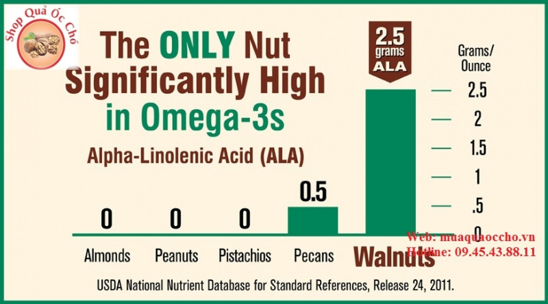 Bảng so sánh hàm lương Omega 3 của quả óc chó