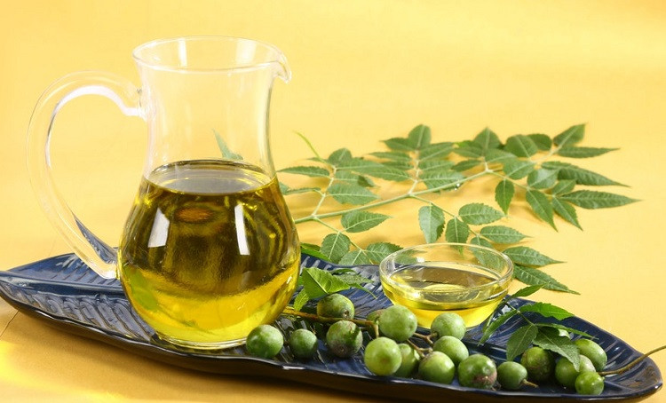 Sử dụng dầu neem là một cách an toàn để loại bỏ mối mọt,