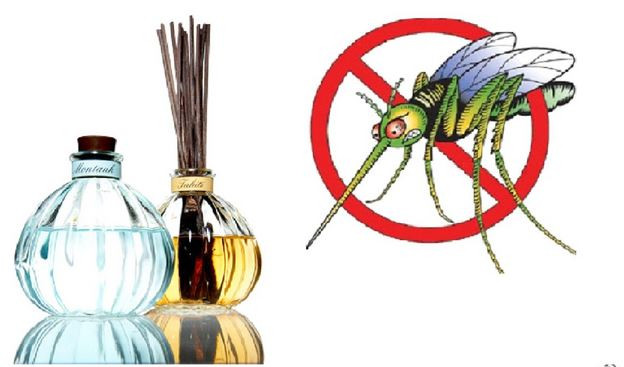 Dùng tinh dầu chanh sả đuổi muỗi hiệu quả
