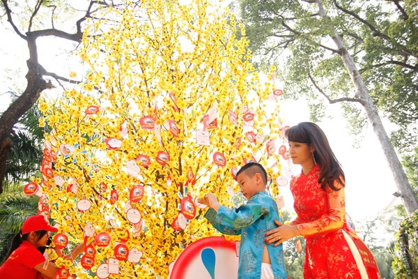 Hoa mai và đào là loài hoa tượng trưng cho ngày Tết truyền thống tại Việt Nam.