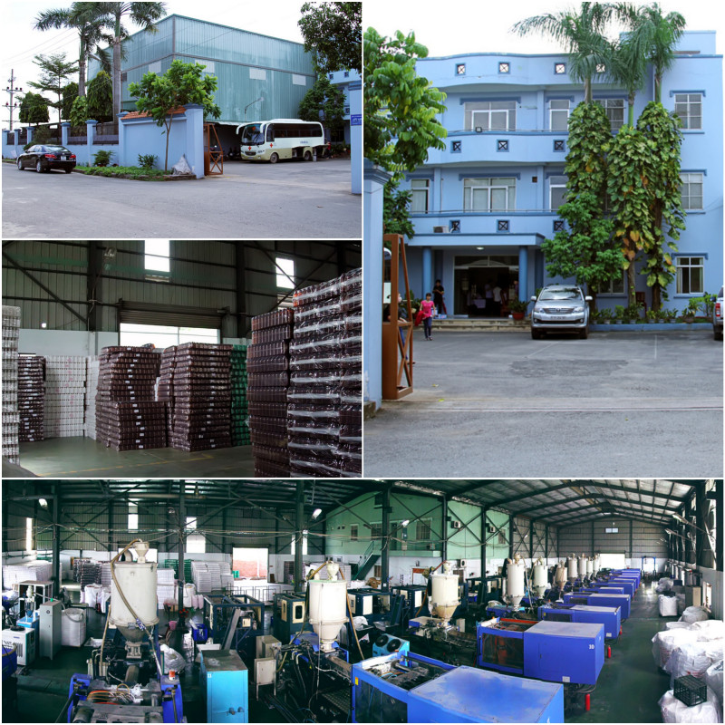 Từ một cơ sở sản xuất bao bì nhỏ năm 2006, sau 10 năm Cửu Long hiện là thương hiệu lớn tại Việt Nam về cung cấp các giải pháp đóng gói toàn diện