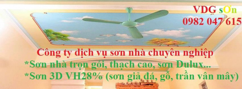 Công ty dịch vụ sơn nhà VDG sơn