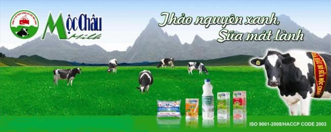 Công ty CP giống bò sữa Mộc Châu
