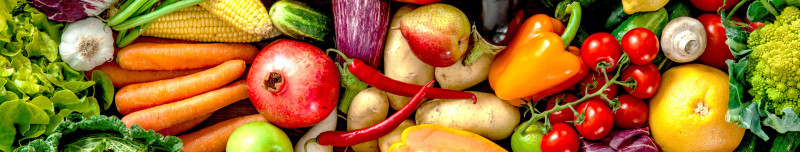 Organicfood.vn cung cấp nguồn rau sạch chuẩn hữu cơ