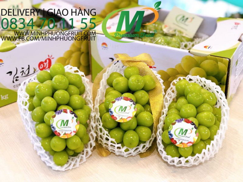 Minh Phuong Fruit tự hào mang lại sản phẩm nhập khẩu an toàn