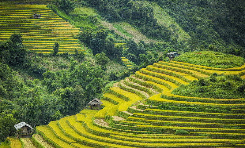 Ruộc bậc thang đẹp như tranh vẽ