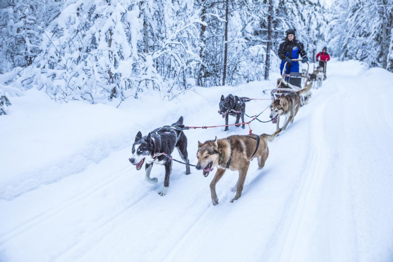 Mùa đông tại Laponia