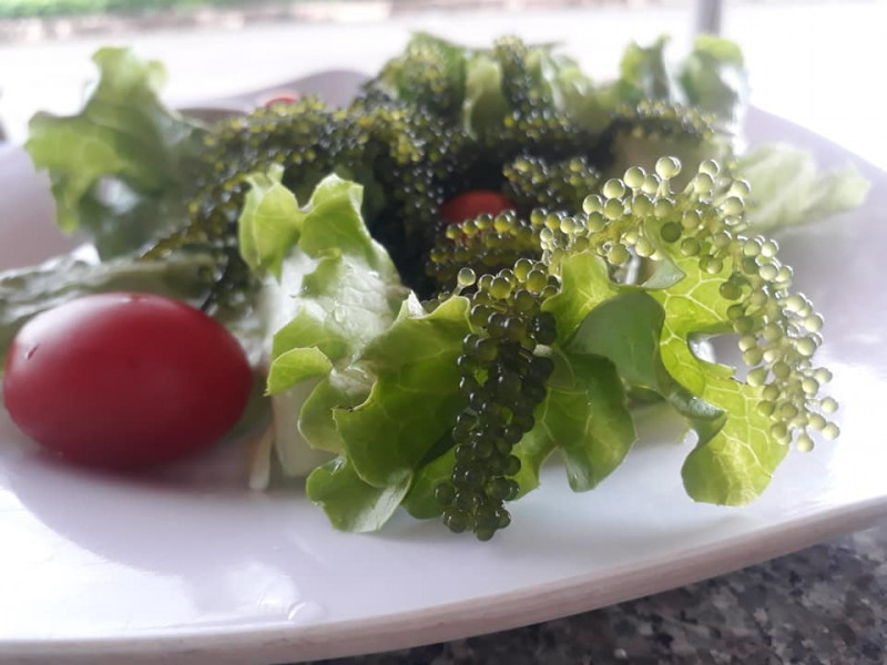 Salad rong nho của Lê's Home