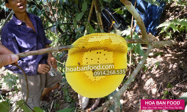 Mật ong rừng nguyên tổ tại Hoa Bạn Food