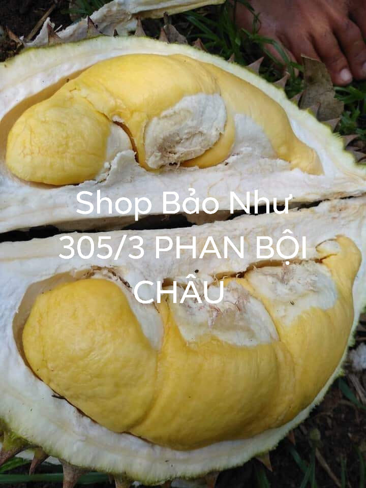 Sầu riêng shop Bảo Như