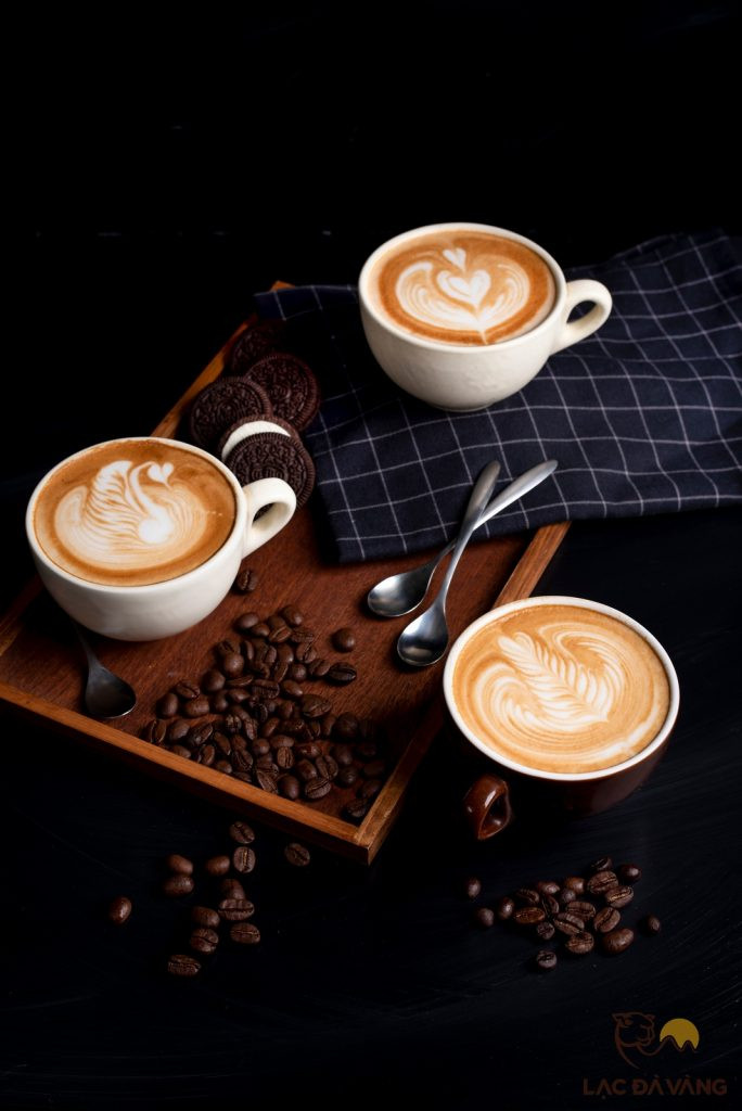 khoá học nghề Barista chỉ tập trung vào cà phê, chủ yếu là cà phê máy Italia và các phương pháp pha cà phê khác nhau trên thế giới.