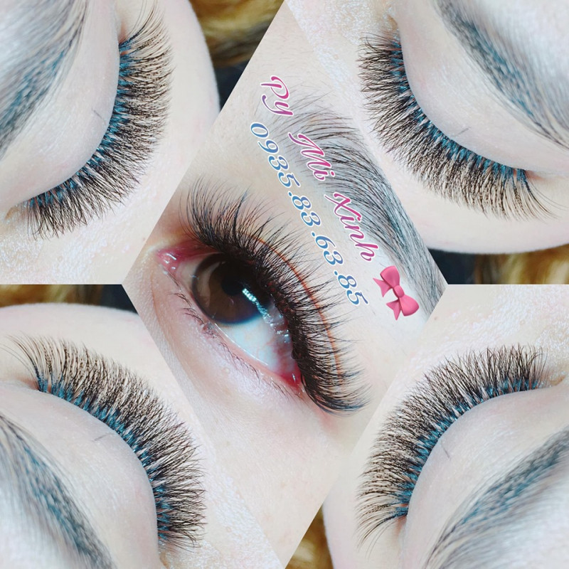 Thảo Py Eyelash