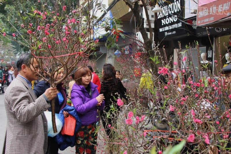 Hoa bán trên phố Hàng Lược