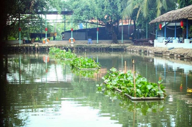 Hồ câu cá giải trí Phú Ông