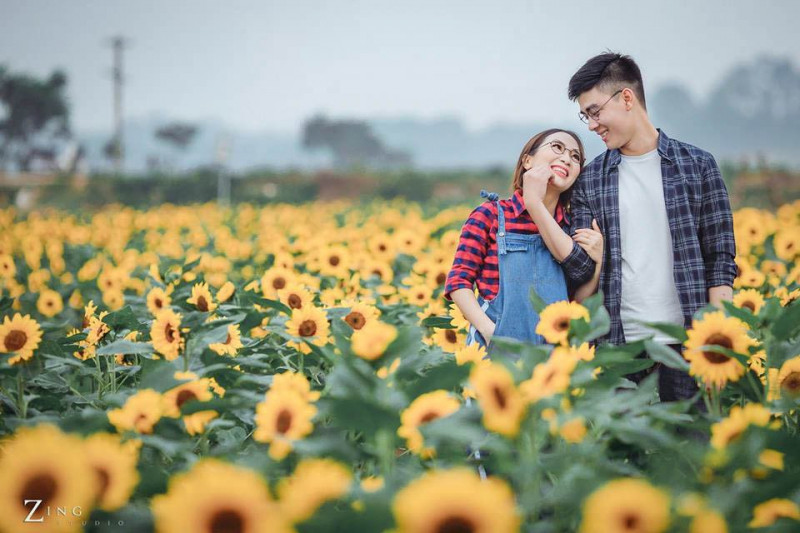 Phim trường Rose Garden