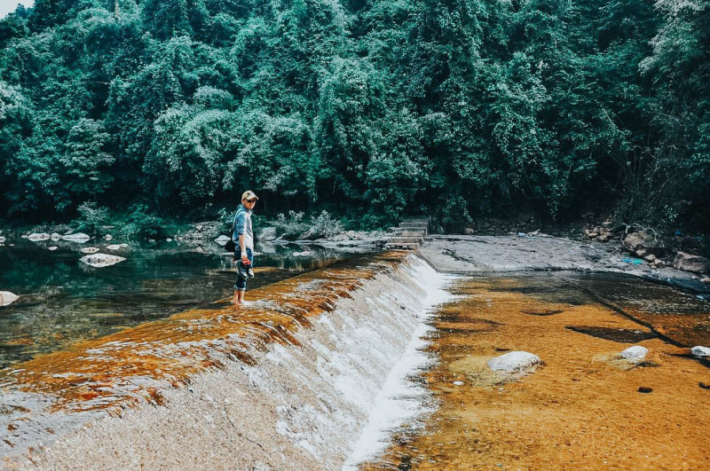 Rừng nguyên sinh Khe Gỗ