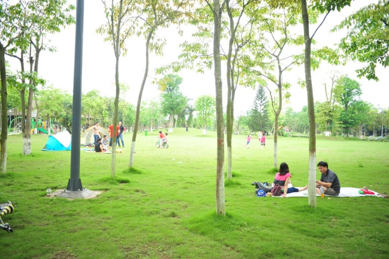 Ecopark được phủ xanh bởi màu cây cỏ