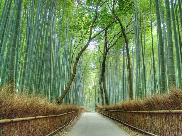 Arashiyama (Nhật Bản)