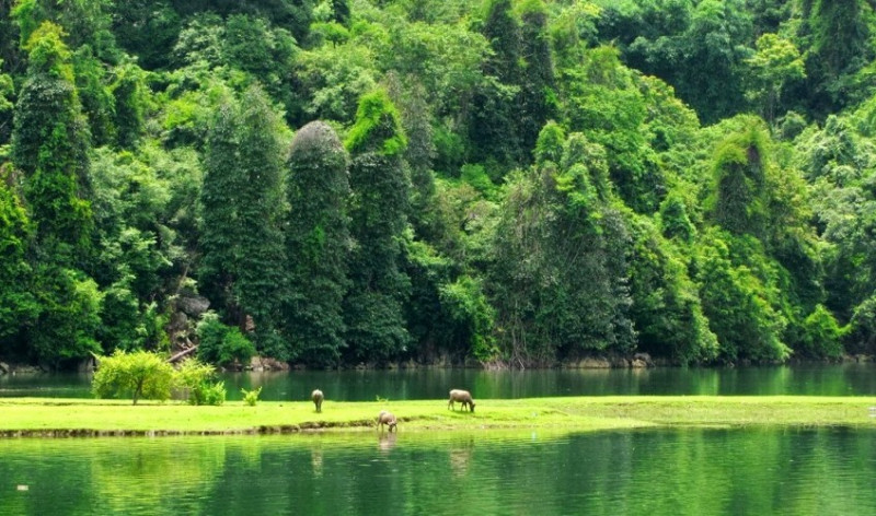 Khu du lịch sinh thái Thung Nham