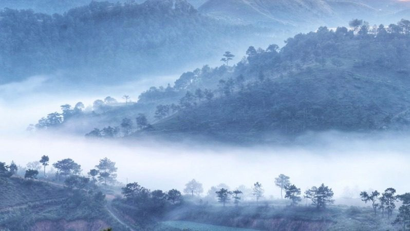 Sương mù bao quanh đồi Thiên Phúc Đức vào buổi Sáng