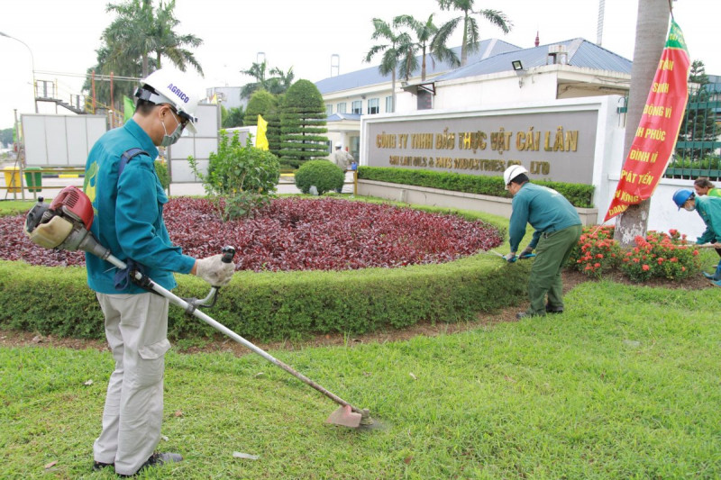 Với đội ngũ chuyên viên kỹ thuật chuyên nghiệp giàu kinh nghiệm, công ty sẽ đáp ứng một cách đầy đủ các yêu cầu về việc duy trì, chăm sóc cây xanh các công trình cảnh quan của khách hàng