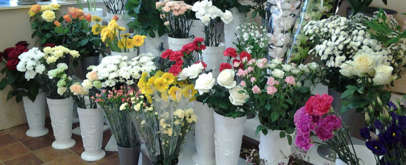 Shop hoa tươi Hoatuoiphumy.net