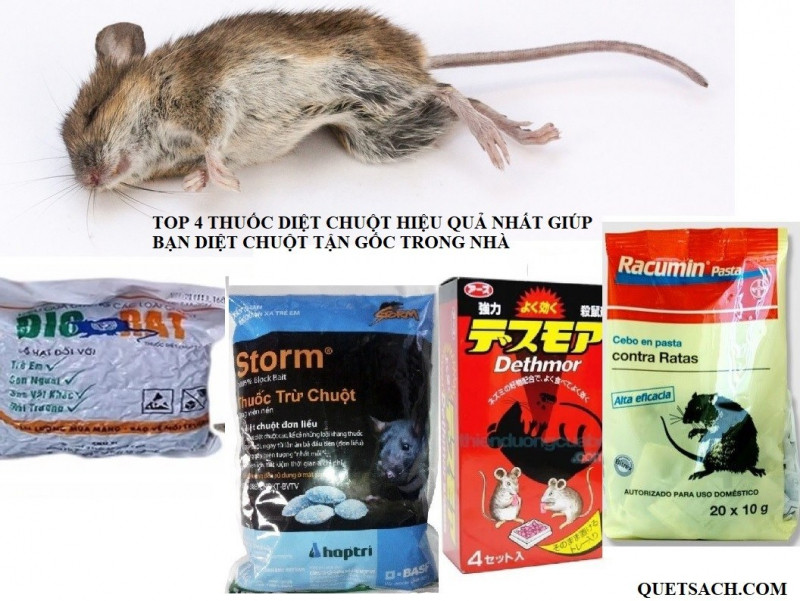 Sơn Hà sẽ tư vấn và chủ động lựa chọn loại thuốc diệt chuột hiệu quả và an toàn cho khách hàng.