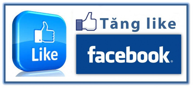 Dịch vụ tăng like facebook của Dichvutanglike.com.vn