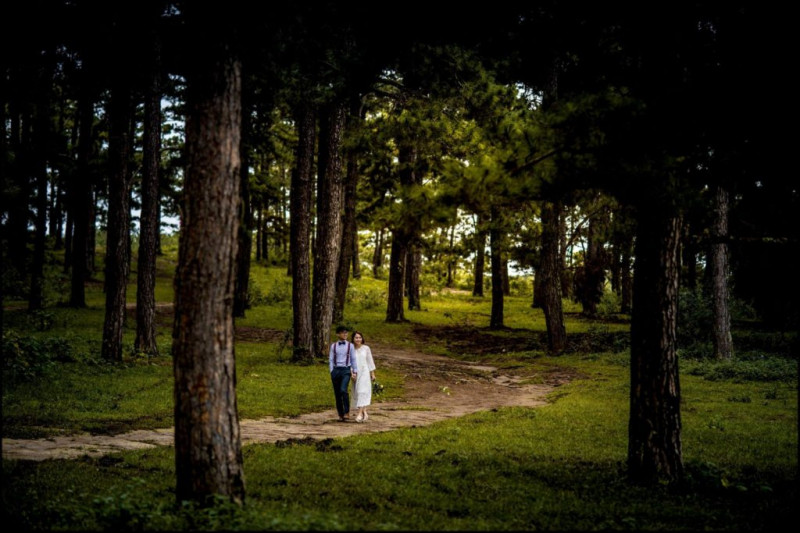 Chụp ảnh cưới Đà Lạt – tại đồi thông