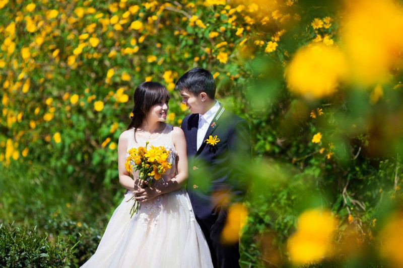 Chụp ảnh cưới đẹp rực rỡ với mùa hoa Dã Quỳ Đà Lạt