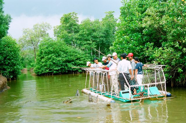 Những điểm đến đáng được lưu ý khi bước vào khu du lịch Vàm Sát chính là : sân chim Vàm Sát, Đầm Dơi và Tháp Tang Bồng