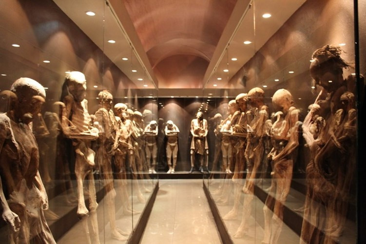 Bảo tàng xác ướp