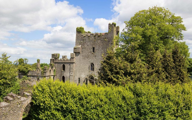 Lâu đài Leap, Ireland
