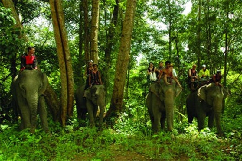 Cưỡi voi thăm thú vườn quốc gia Yok Đôn