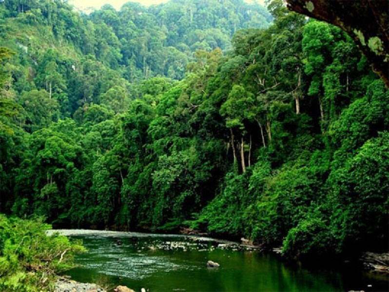 Brunei một đất nước xanh sạch đẹp.