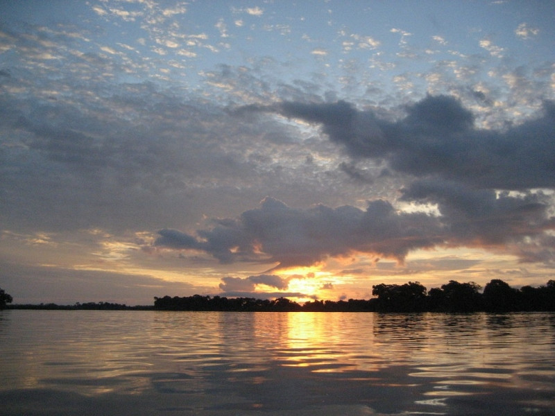 Sông Công Gô, châu Phi
