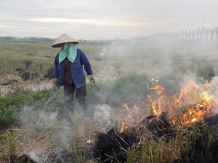 Đốt rơm rạ đã trở thành thói quen khó bo của người nông dân