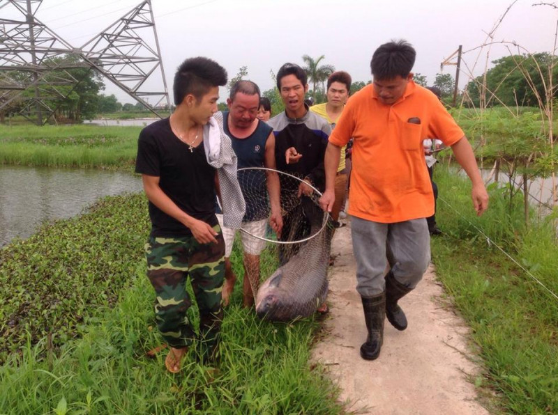 Hồ câu Tứ Hải