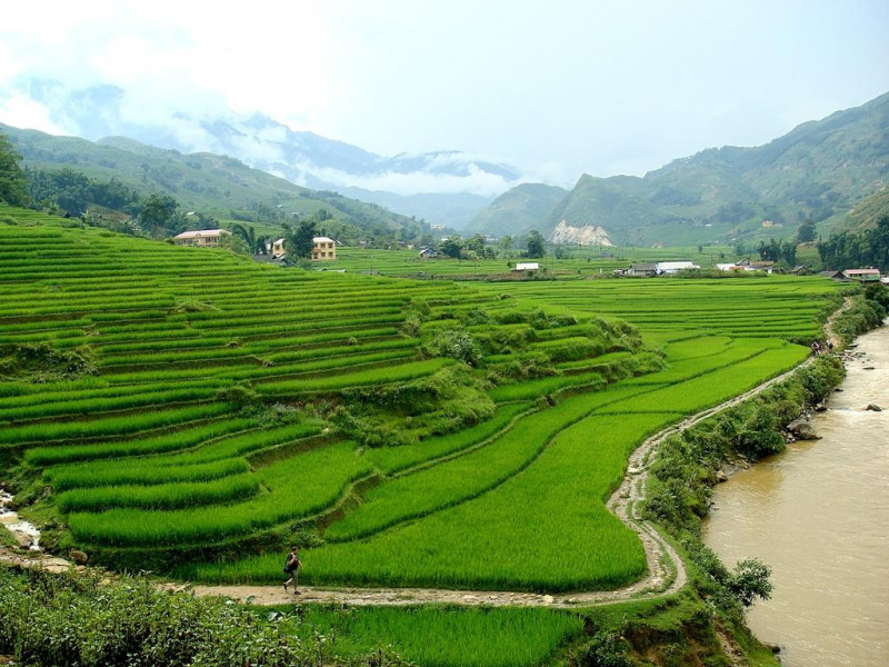 Quang cảnh xung quanh H'Mong Mountain Retreat