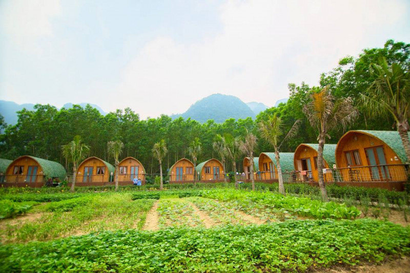 Xung quanh khuôn viên đó được bao phủ bởi màu xanh của núi rừng hoang sơ, hùng vĩ cùng với những nhánh sông xanh mát như những dải lụa uốn lượn nhẹ nhàng.