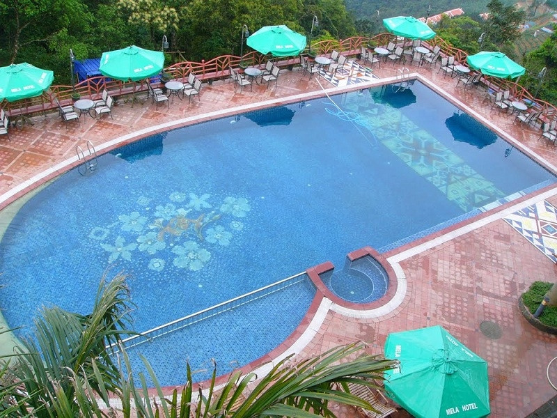 Bể bơi ngoài trời được thiết kế theo phong cách Mosaic