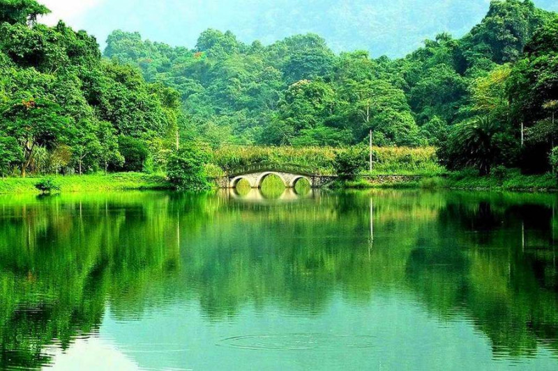 Vườn quốc gia Cúc Phương có diện tích 25.000 ha và là rừng quốc gia đầu tiên của Việt Nam.