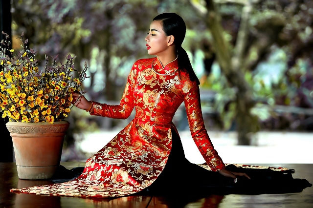 Bậc vua chúa triều đình Việt Nam rất chuộng kiểu áo dài may từ các loại gấm này bởi chúng giúp thể hiện sự sang trọng và quý phái cho người mặc.