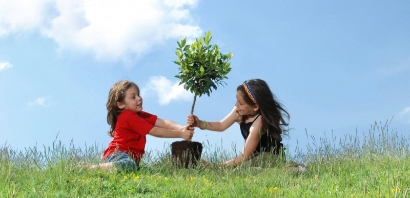 Trồng cây giúp bé bớt căng thẳng, biết yêu thiên nhiên và tìm được niềm vui trong lao động