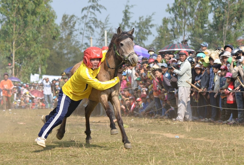 Màn đua ngựa đẹp mắt