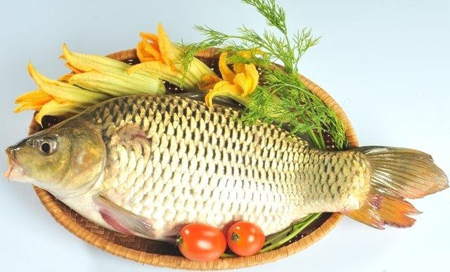 Cá chép cung cấp chất dinh dưỡng cho mẹ bầu, giúp an thai