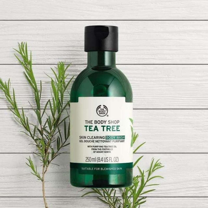 Sữa tắm Tea Tree Body Wash sảng khoái và không tạo bọt giúp chống khuẩn, trị mụn viêm hiệu quả cao